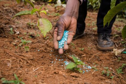 Choosing the Perfect Soil Fertilizer and Mulch