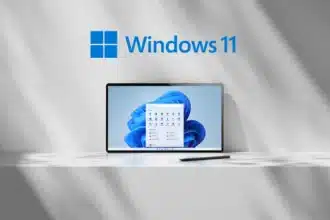 windows11.1