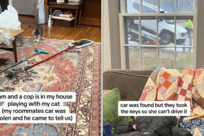 How a Cat and a Policeman Bonded Over a Laser Pointer