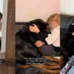 How Rottweilers Show Their Love and Loyalty Jax’s Story