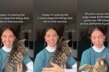 How to Become a Pet Influencer in 2024