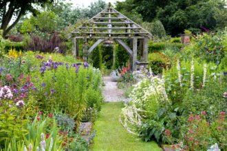 How to Plan and Design Your Garden