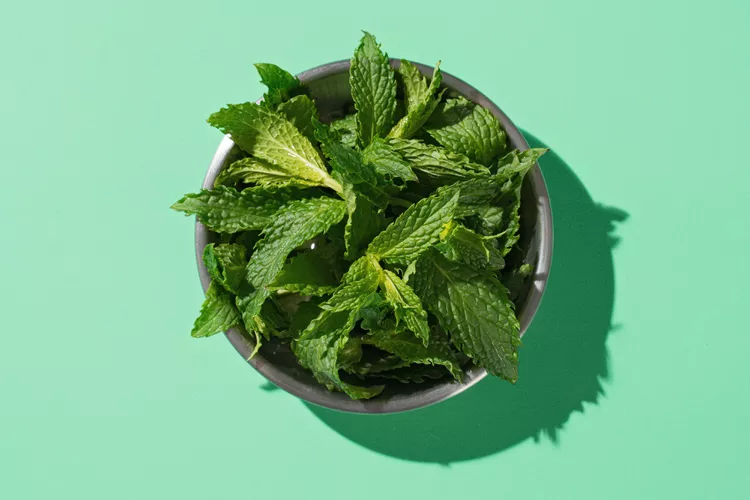 How to Store Mint So It Stays Fragrant and Fresh