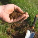 The 2 Best Ways to Test Your Soil pH