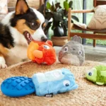 DIY Pet Toys: Safe and Affordable Ideas