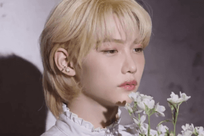 Stray Kids Felix Apologizes