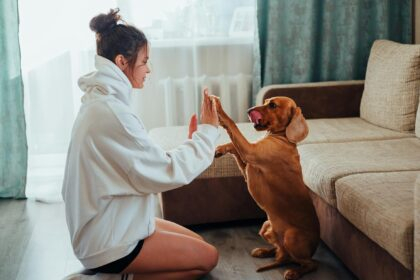 female owner playing with dog at home