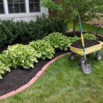 6 Reasons Why Fall Is the Best Time to Mulch