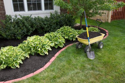 6 Reasons Why Fall Is the Best Time to Mulch