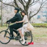 Love Next Door, tvN, Jung So Min, Jung Hae In, K-Drama, Romantic Comedy, Hometown Cha-Cha-Cha, New Stills, Bae Seok Ryu, Choi Seung Hyo, K-Drama 2024, Korean Drama, Seo Ji Hye, Upcoming Episode, Cherry Blossom, Romance, Drama Stills, K-Drama News